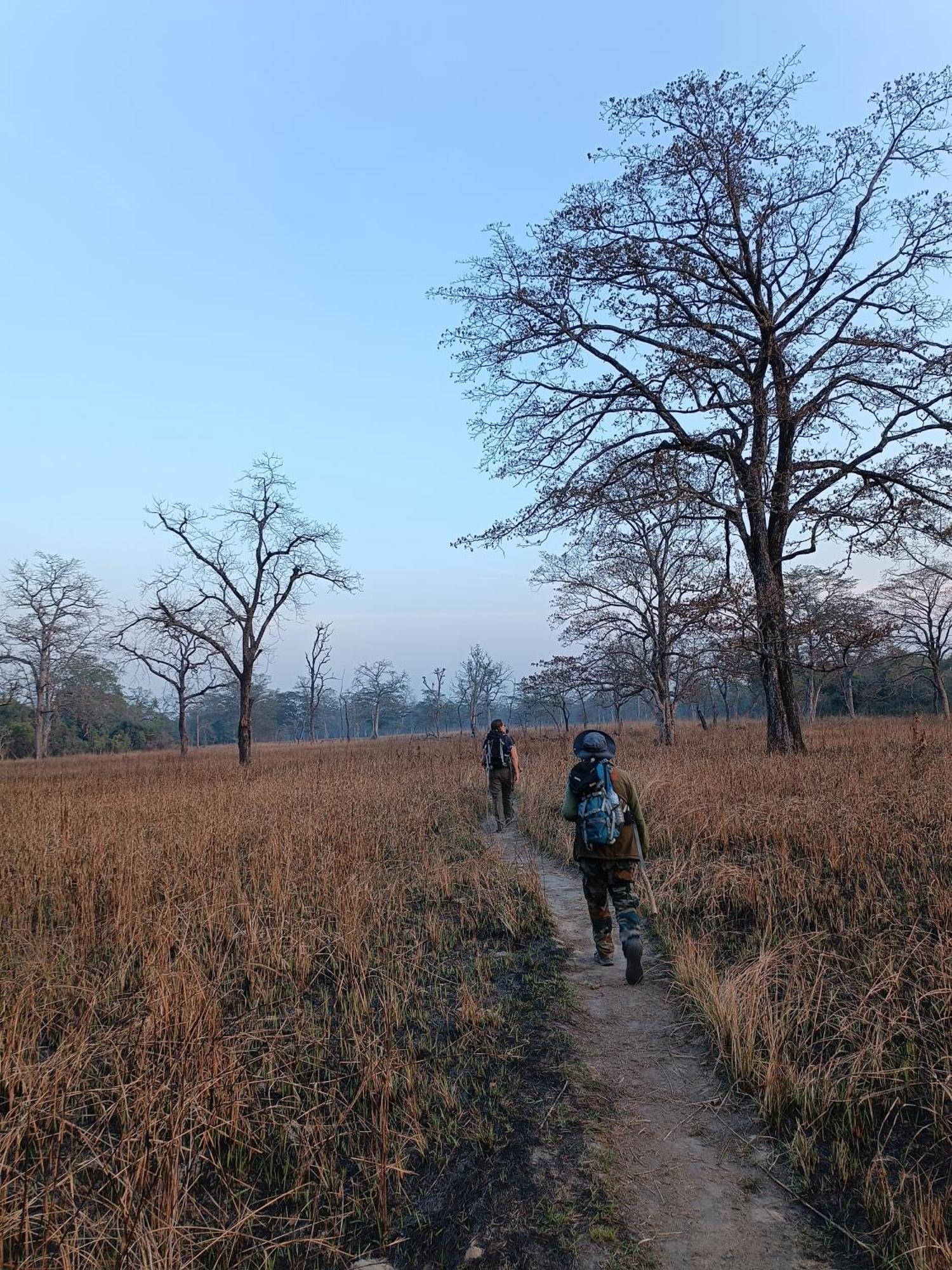 Nanu'S Bardiya Homestay Exterior photo
